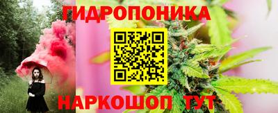 дурь Кингисепп