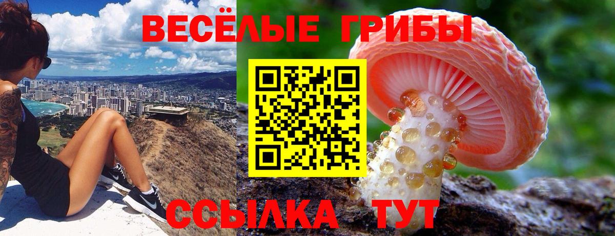 Шахты  Псилоцибиновые грибы Psilocybe  Вход с VPN  Псилоцибиновые грибы ЛСД 